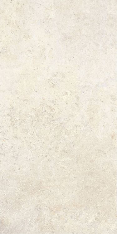 OL Limestone Avorio Matte 24 x 48